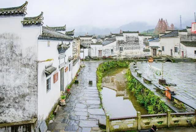 匯總！2022年教育科研等項目，包含安徽廣東山東等省工50個項目