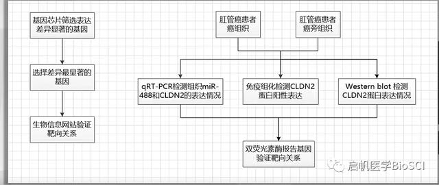 生物醫(yī)學(xué)實(shí)驗(yàn)方案設(shè)計(jì)大全，讓你課題脫穎而出（生物實(shí)驗(yàn)設(shè)計(jì)專(zhuān)題）