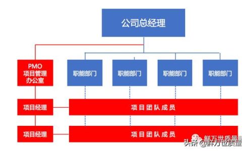 采用矩陣式項目開發(fā)模式，是否還需要建立PMO項目管理辦公室？（項目管理辦公室pmo實踐指南）