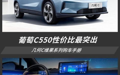 藍莓、葡萄、西柚都不錯！但幾何C葡萄C550更值得擁有
