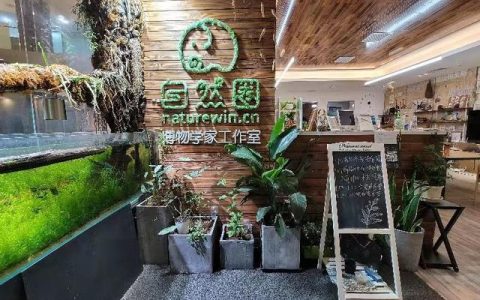 門店管理APP，讓門店實現(xiàn)“輕管理，重高效”（門店管理APP）