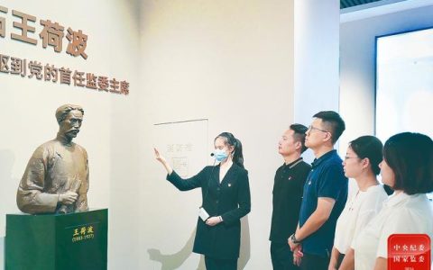 南京做實市供銷合作總社原黨委委員、理事會原副主任黃長安案以案促改 讓領導干部把好用權“方向盤”